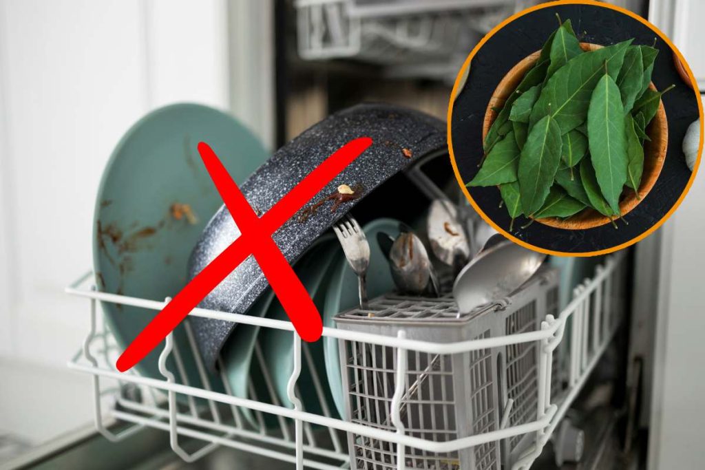 Adiós a las dudas: descubre cómo una simple hoja de laurel puede revolucionar tu lavavajillas