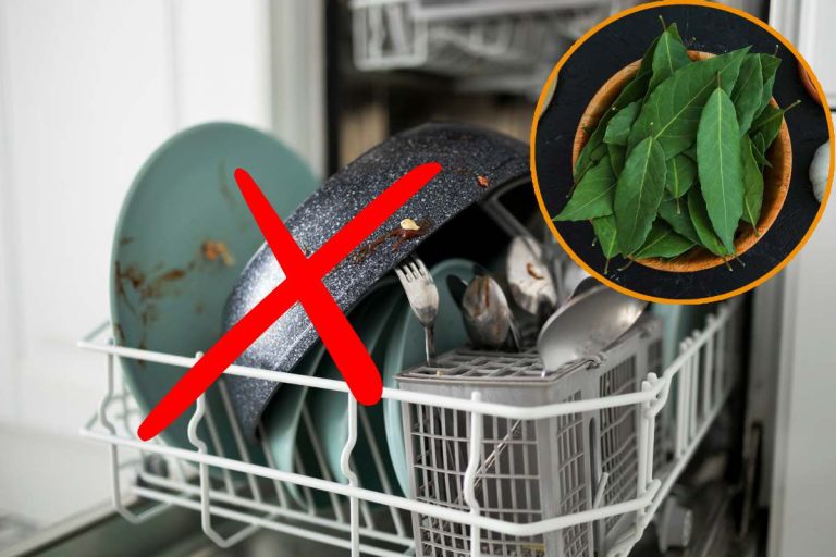 Adiós a las dudas: descubre cómo una simple hoja de laurel puede revolucionar tu lavavajillas
