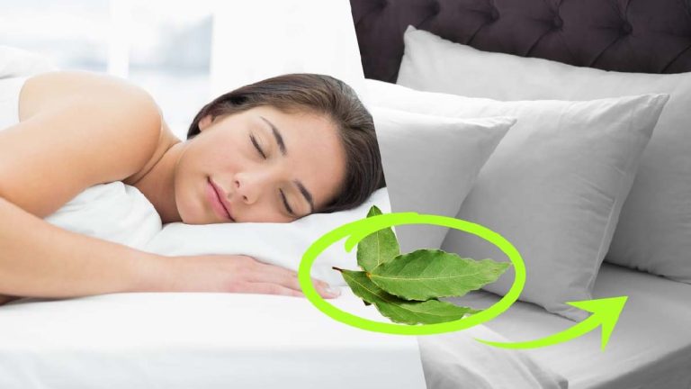 El truco de la hoja de laurel bajo la almohada que está conquistando a todos: ¡no querrás dormir sin ella!