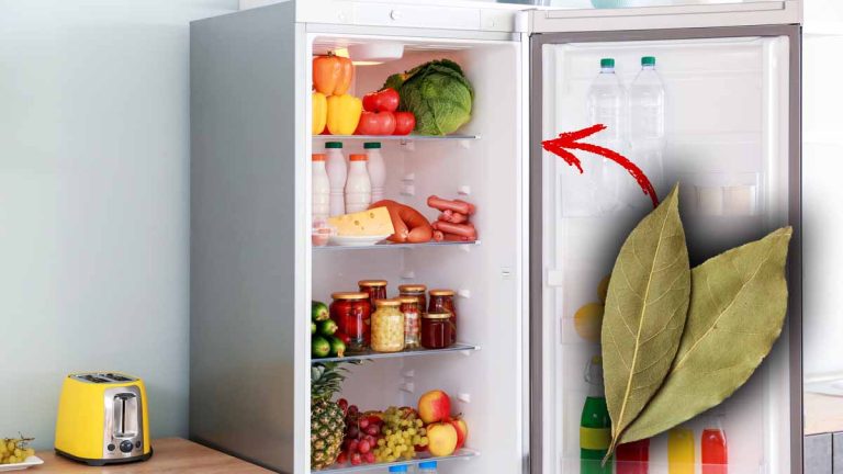¡Laurier en la nevera! Un truco de abuela que podría cambiar todo en tu cocina.