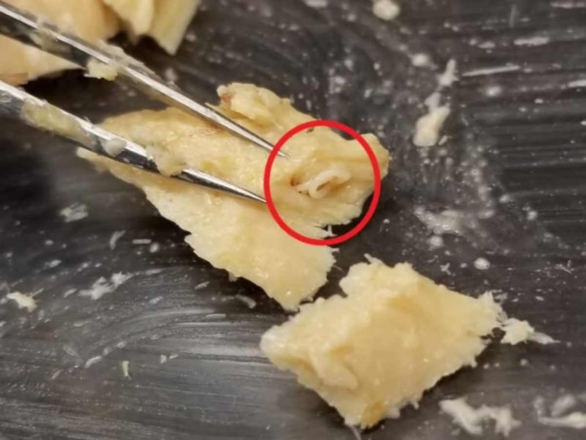 Abren una lata de salmón caducada hace 50 años y lo que encuentran sorprende a todos