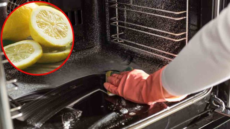 ¿Harto de la suciedad incrustada en tu horno? Descubre el truco natural para limpiarlo fácilmente