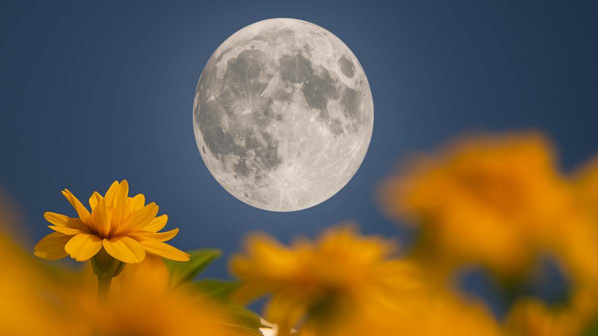 Luna Llena de Mayo 2025: El Místico Poder de la Luna de las Flores