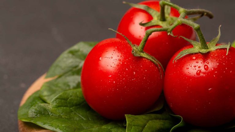 Ni en la basura ni en la nevera: el lugar ideal para guardar tus tomates y que no se estropeen