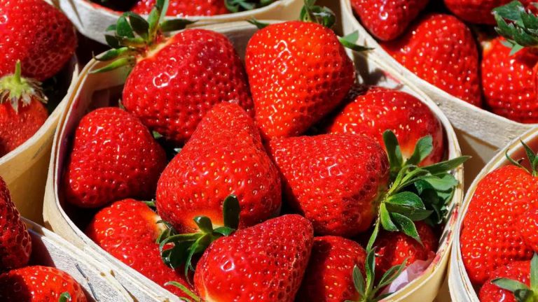 Ni en la nevera ni en el frutero: este es el mejor lugar para conservar las fresas y evitar que se pudran
