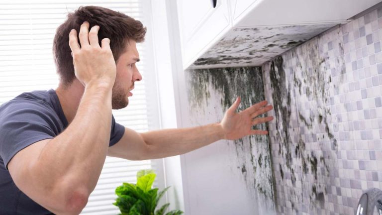 Baño sin ventanas ni VMC: dile adiós a la humedad con estas eficaces soluciones antimoho