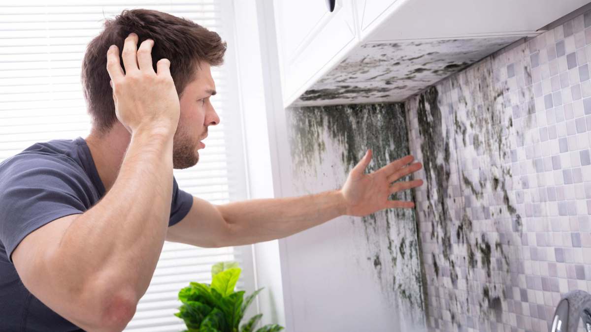 Baño sin ventanas ni VMC: dile adiós a la humedad con estas eficaces soluciones antimoho