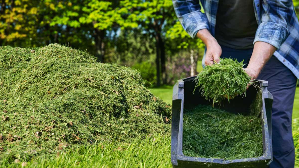 ¿Qué hacer con la hierba cortada? 3 consejos para reciclarla sin ir al vertedero