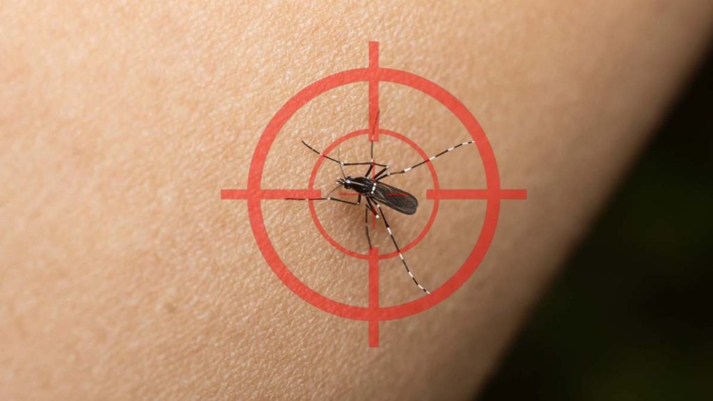 Se acabaron los mosquitos con este accesorio magnético de Lidl por menos de 9 euros: todo el mundo lo quiere.