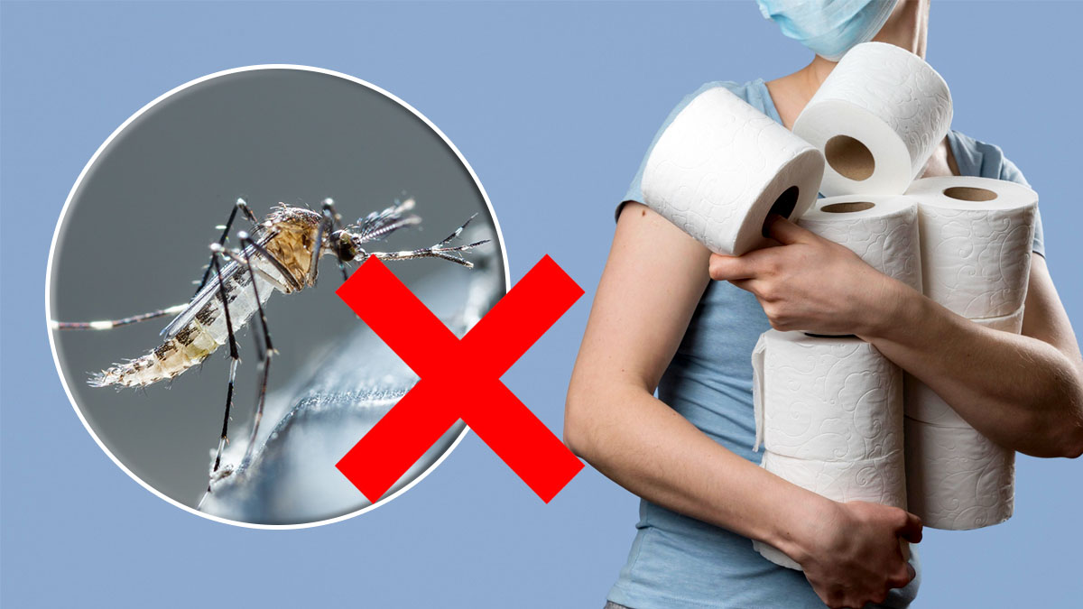 «¿Cómo usar papel higiénico para mantener los mosquitos lejos? La idea que nadie te contó»